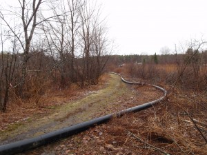 A 24-inch pipe being installed through a protected wetland area.